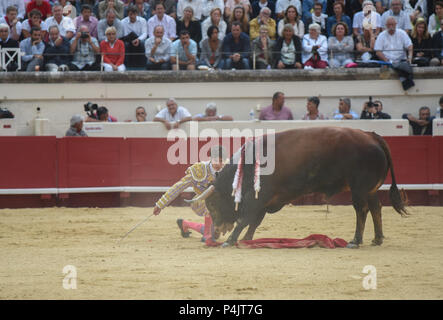 August 13, 2015 - Beziers, Frankreich: Französisch matador Sébastien Castella, einer der bekanntesten Stierkämpfer der Welt, führt bei einer Corrida in seiner Geburtsstadt Beziers. Trotz der wachsenden Opposition von Tier rechte Gruppen, Stierkampf bleibt populär in Süd frankreich. Stierkampf Liebhaber berichten, dass die Praxis noch mehr echt ist in Südfrankreich als in den Nachbarländern, weil Spanien Stierkampf auf kommunaler Ebene organisiert wird, durch Gruppen von Menschen die tauromachy Traditionen verpflichtet. Corrida organizee dans le cadre de la Feria de Beziers. Le Maire de Beziers Robert Stockfoto