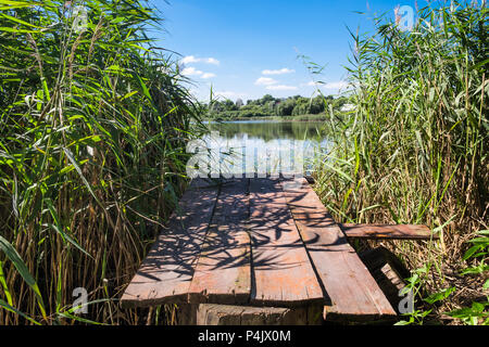 Alte Holzbrücke über die ländlichen See. Wild Schilf auf dem See. Kleine Häuser auf dem Land unter den Bäumen auf der entfernten Seite. Sommertag. Stockfoto