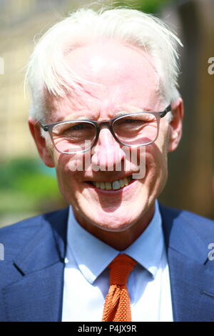 Norman Lamb britischen liberaldemokratischen Politiker dargestellt in Westminster, London, Großbritannien, am 20. Juni 2018. Die britischen Politiker. MPS. Stockfoto