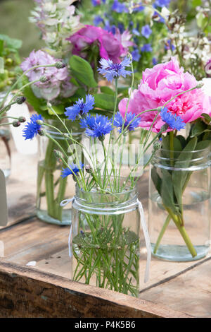 Schnittblumen, die in Gläsern Anzeige an eine Blume zeigen. Großbritannien Stockfoto