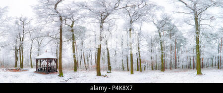 Winter Landschaft der Karpaten in der Slowakei, Bratislava. Stockfoto