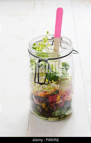 Salat im Glas mit lämmer Salat, Mangold, Möhren, Radieschen, Linsen und Erbsen Sprossen Sprossen Stockfoto