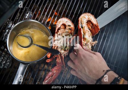 Hummer mit Soße auf dem Grill Stockfoto