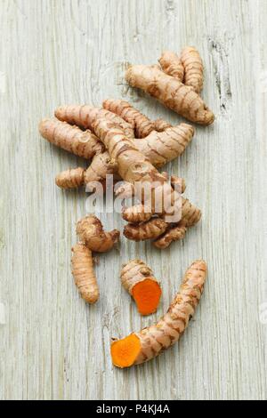 Frischen Kurkuma-Wurzeln Stockfoto