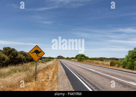 Outback Australien berühmten iconic kangaroo Autobahn Schild Stockfoto