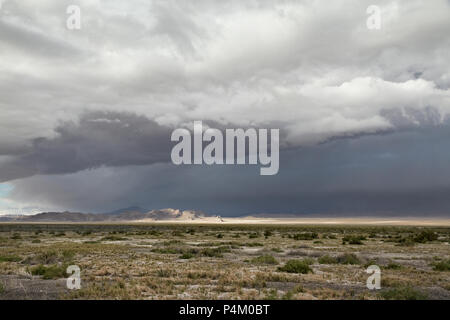 Prarie Landschaft beneats ein Dunkles Blaugrau bewölkte Himmel Stockfoto