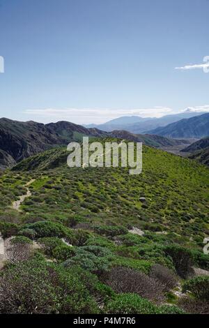 Wandern in Wildwasser, Kalifornien durch sanften grünen Hügeln Stockfoto