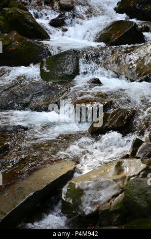 Nahaufnahme von einem kleinen wilden Wasserfall in Form von kurzen Ströme von Wasser zwischen Berg Steine Stockfoto