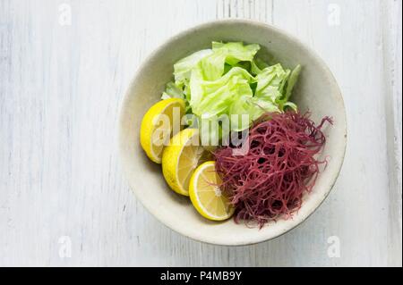 Eine Schüssel mit Eisbergsalat, rote Algen und yuzu Schichten Stockfoto