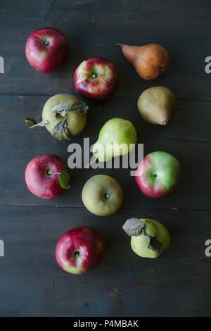 Verschiedene Arten von Äpfeln und Birnen (von oben gesehen) Stockfoto