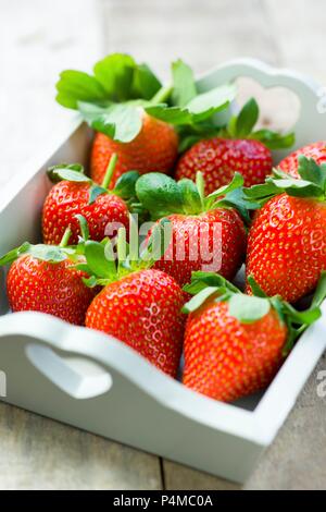 Erdbeeren in einem weißen Holz- fach Stockfoto