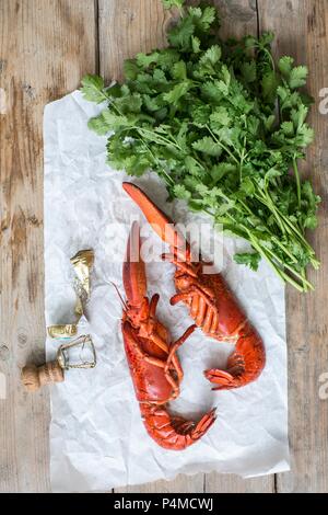 Gekochte halber Hummer, frischen Koriander und ein Korken Stockfoto