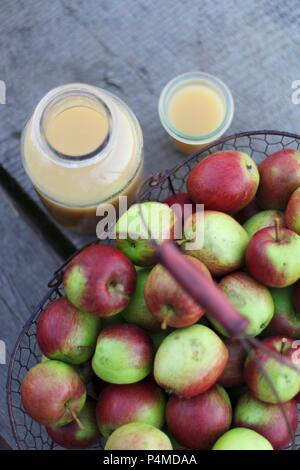 Frischer naturtrüber Apfelsaft in ein Glas und Engpässe in einen Korb mit Äpfeln Stockfoto