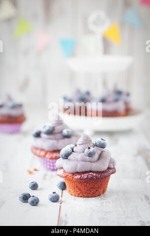 Red velvet Cupcakes mit Blaubeeren Stockfoto