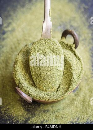 Moringa Pulver Stockfoto