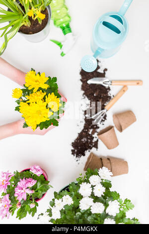 Bild von Blumen in Töpfen, Gießkannen, Schaufel, Rechen auf leeren weißen Hintergrund. Stockfoto