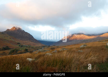 Berge von Tryfan (links) und Pen-OLE-Wen (rechts), Snowdonia, Gwynedd, Wales, Großbritannien Stockfoto