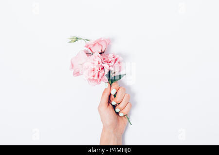 Woman's Hand mit trendigen Maniküre kleine Strauß rosa Blüten in der Mitte der weißen Hintergrund, Ansicht von oben. Minimale flach Zusammensetzung der b Stockfoto