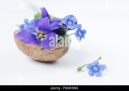 Romantische floristischen Zusammensetzung mit Veilchen und Vergissmeinnicht Blumen in einer Nußschale gegen schönes Bokeh Hintergrund. Stockfoto