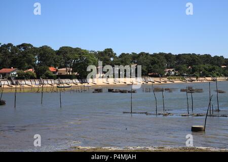 Oyster Kultur im Dorf Piraillan, Bassin d'Arcachon, Gironde, Frankreich Stockfoto