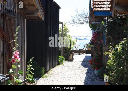 Oyster Kultur im Dorf Piraillan, Bassin d'Arcachon, Gironde, Frankreich Stockfoto