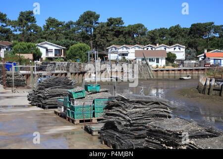 Oyster Kultur im Dorf Piraillan, Bassin d'Arcachon, Gironde, Frankreich Stockfoto