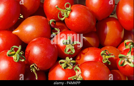 Rote Tomaten Hintergrund. Gruppe von Tomaten Stockfoto