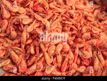 Fisch und Meeresfrüchte. Viele marine Gekochte Garnelen sind Ready-to-eat Garnelen. Stockfoto
