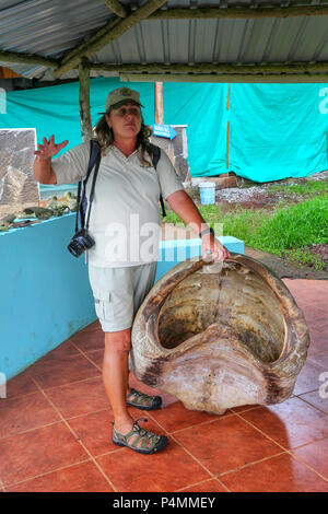 Naturforscher reden Galapagos Riesen Schildpatt in der Wallfahrtskirche auf der Insel Santa Cruz, Galapagos Nationalpark in Ecuador. Es ist die größte liv Stockfoto