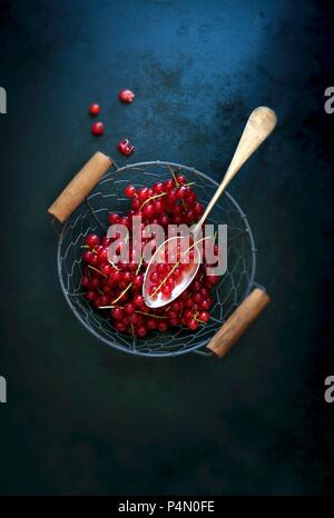 Frische rote Johannisbeeren mit einem Löffel in einem Drahtkorb Stockfoto