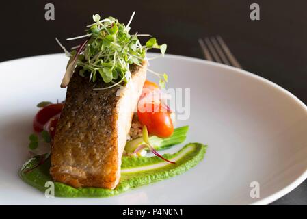 Gegrillter Lachs mit Rucola pürieren und mit Tomaten und Mais Salat Stockfoto