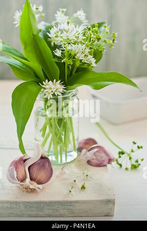 Wilder Knoblauch mit Blumen in ein Glas Wasser mit Knoblauchzehen auf einem Schneidebrett Stockfoto