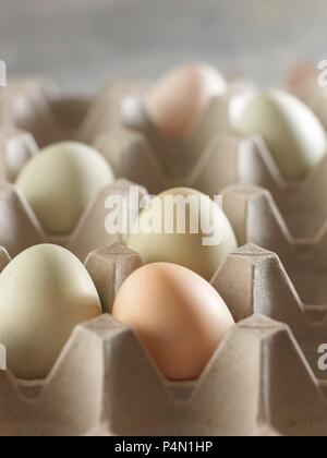 Verschiedene farbige Aracuana huhn eier in einem Ei box Stockfoto