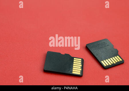 Zwei kleine Micro-SD-Karten liegen auf einem roten Hintergrund. Eine kleine und kompakte Daten und Informationen speichern. Stockfoto