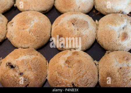 Frisch gebackene Muffins noch in der Backform Stockfoto
