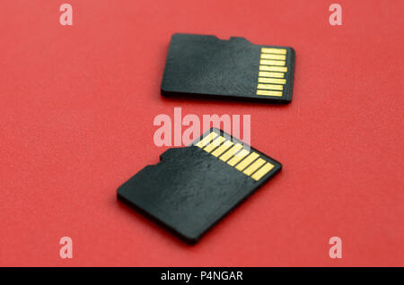 Zwei kleine Micro-SD-Karten liegen auf einem roten Hintergrund. Eine kleine und kompakte Daten und Informationen speichern. Stockfoto