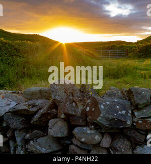Sonnenaufgang oder Dämmerung über der Landschaft in Irland mit den Sonnenstrahlen Hervorhebung einer Trockenmauer. Stockfoto