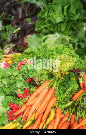 Gesunde vegetarische Speisen auf dem lokalen Markt mit frischen Lebensmitteln in Le Mans Stockfoto