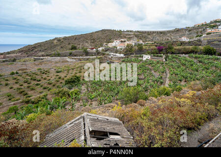 Der Strand San Marco in Icod de los Vinos und Bananen Plantage Farm von oben gesehen Stockfoto