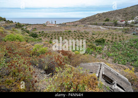 Der Strand San Marco in Icod de los Vinos und Bananen Plantage Farm von oben gesehen Stockfoto