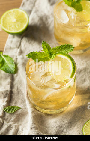 Hausgemachte Moscow Mule mit Ingwer und Limette in ein normales Glas Stockfoto