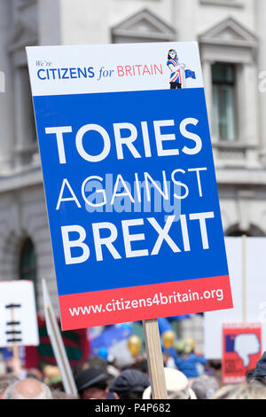 Die Abstimmung März London, UK - 23. Juni 2018. - Demonstranten mit Plakat Tories gegen Brexit März entlang Pall Mall en route Whitehall zu verlangen, eine zweite Abstimmung über die endgültige Brexit Deal - Steven Mai/Alamy leben Nachrichten Stockfoto