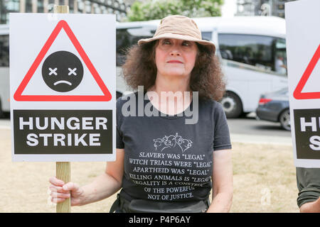 London, Großbritannien. 23. Juni 2018. Die Demonstranten versammeln sich auf den Parliament Square Ihren 15-tägigen Hungerstreik zu beenden und die geplante dritte Start- und Landebahn am Flughafen Heathrow zu protestieren. Penelope Barritt/Alamy leben Nachrichten Stockfoto