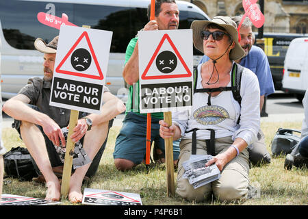 London, Großbritannien. 23. Juni 2018. Die Demonstranten versammeln sich auf den Parliament Square Ihren 15-tägigen Hungerstreik zu beenden und die geplante dritte Start- und Landebahn am Flughafen Heathrow zu protestieren. Penelope Barritt/Alamy leben Nachrichten Stockfoto