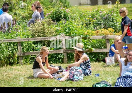 Brighton UK 23 Juni 2018-Pavilion Gardens ist in Brighton, verpackt als Besucher der Sonne mit Temperaturen gesetzt in Großbritannien in den nächsten Tagen Gutschrift zu steigen: Simon Dack/Alamy Leben Nachrichten genießen Stockfoto