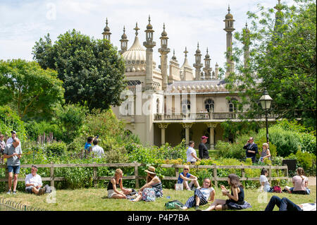 Brighton UK 23 Juni 2018-Pavilion Gardens ist in Brighton, verpackt als Besucher der Sonne mit Temperaturen gesetzt in Großbritannien in den nächsten Tagen Gutschrift zu steigen: Simon Dack/Alamy Leben Nachrichten genießen Stockfoto