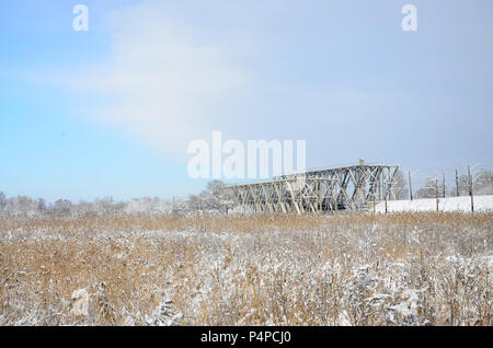 Schneebedeckten wilden Sumpf mit viel Gelb Schilf, mit einer Schicht von Schnee bedeckt. Winterlandschaft in Marschland. Stockfoto