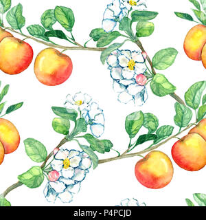 Äpfel Zweig mit Blüten und Früchten, nahtlose Muster Handgemalten Aquarell Abbildung Stockfoto