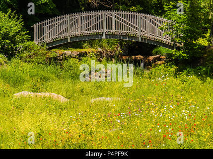 Holzbrücke über Bach mit Sommer wilde Blumen blühen im Feld Stockfoto