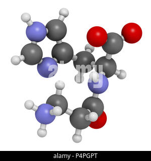 Carnosin (L-Carnosin) Nahrung Ergänzung Molekül. 3D-Rendering. Atome sind als Kugeln mit konventionellen Farbcodierung vertreten: (weiß), Wasserstoffauto Stockfoto